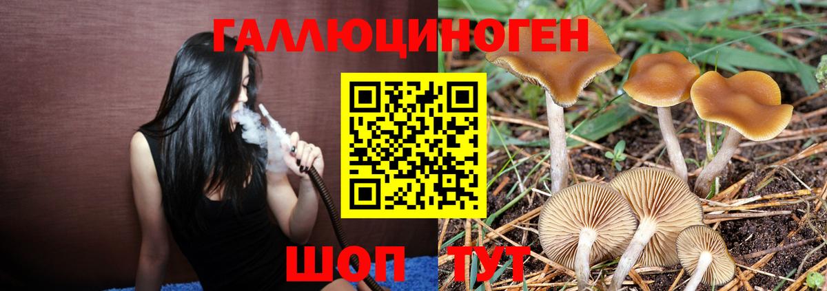 цены наркотик  Вход с VPN  Избербаш  Галлюциногенные грибы GOLDEN TEACHER 